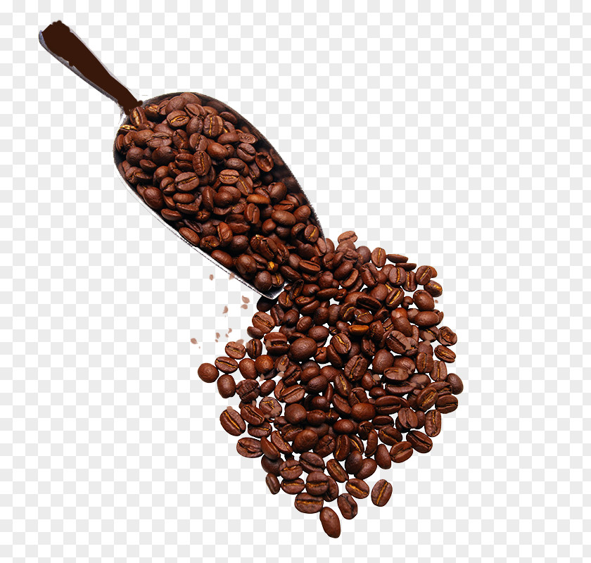 Shovel A Spoonful Of Beans Turkish Coffee Latte Tea Cafe PNG