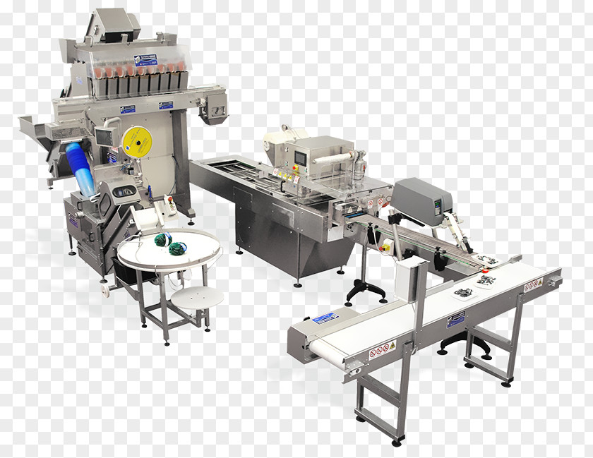 Technology Machine Packaging And Labeling Cocci Luciano Srl Economy PNG