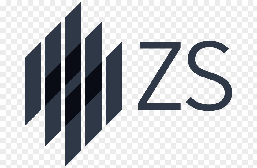 Business ZS Associates Management Consulting Company PNG