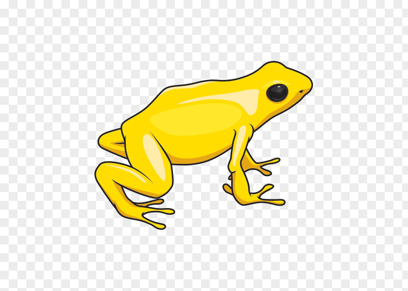 Golden Poison Frog Agalychnis Toad True Tree Cartoon PNG