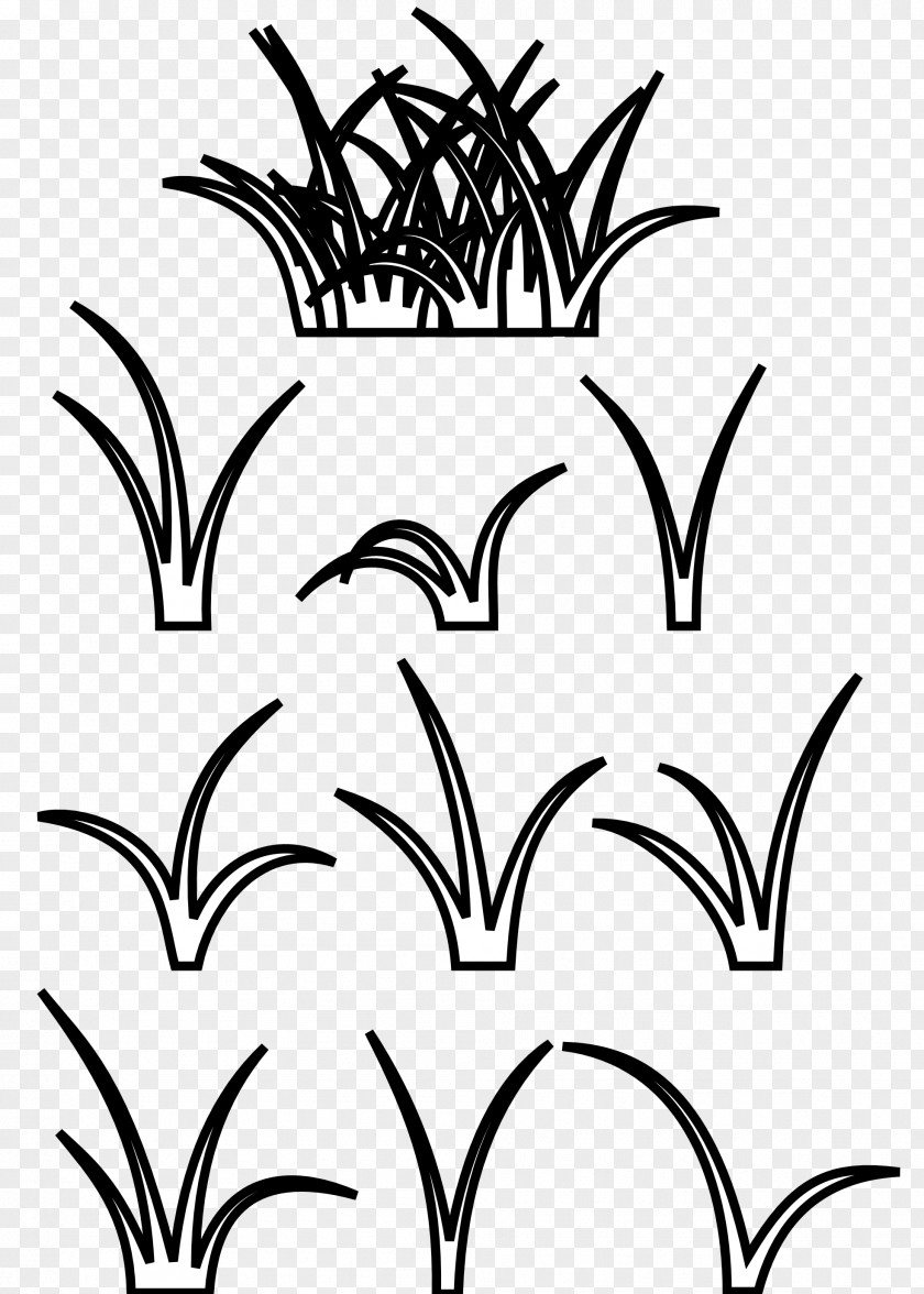 Lawn Black And White Clip Art PNG