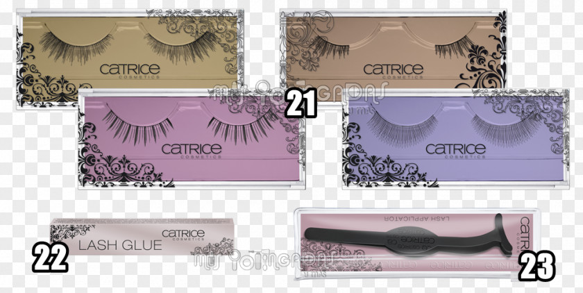 Wax Eyelash Extensions Cosmetics Brand PNG