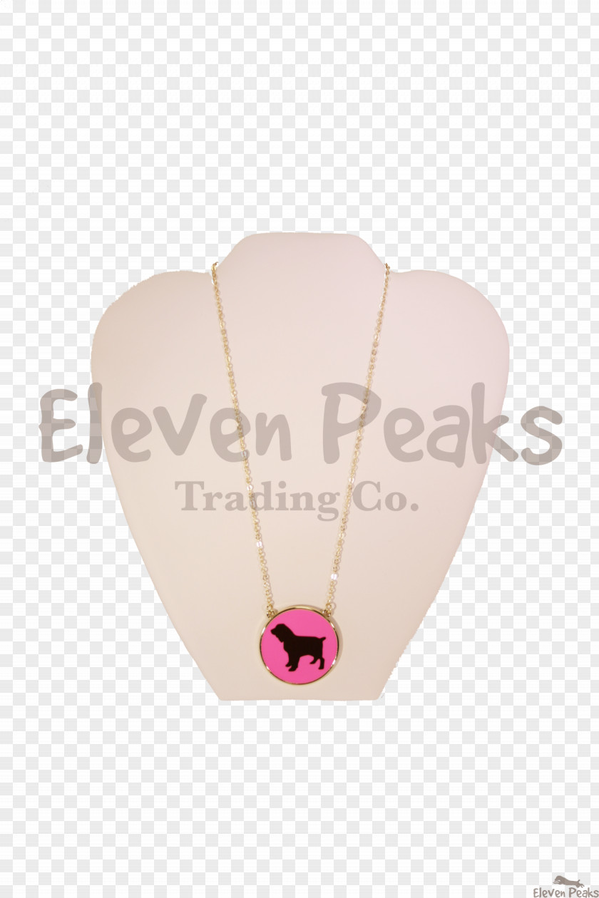 Boykin Spaniel Locket Necklace Magenta PNG