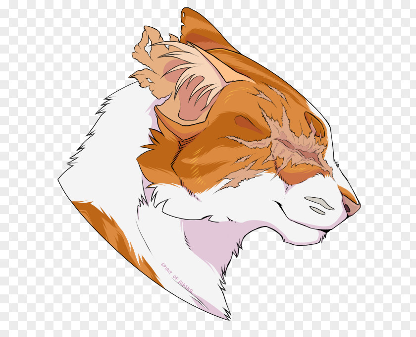 Brightheart Warrior Cat Drawings Whiskers Cloudtail Tiger PNG