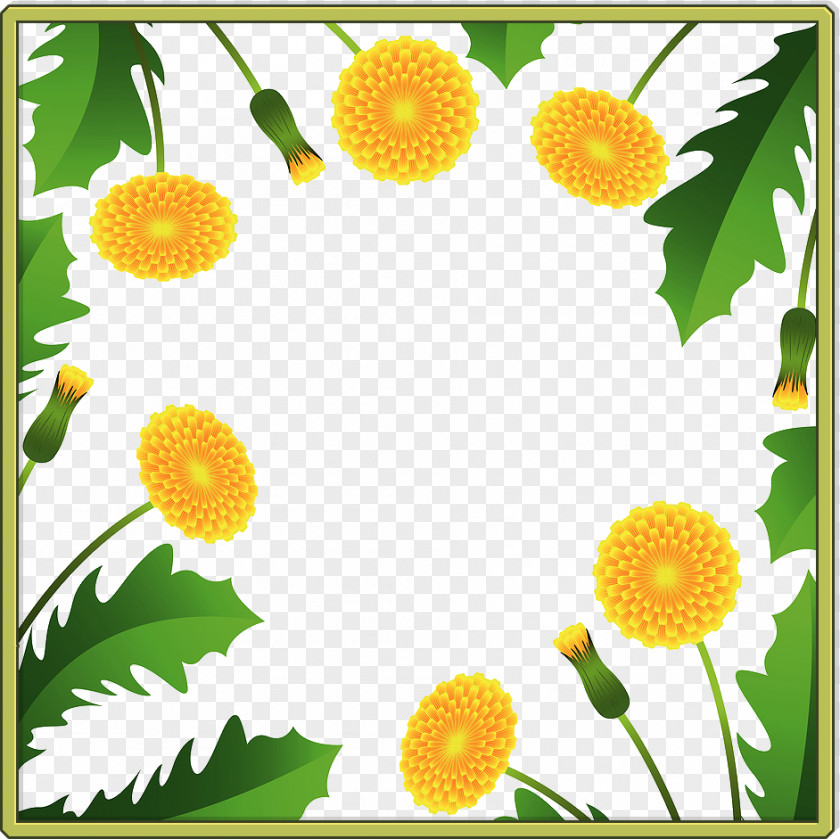 Dandelion Frame Flower Floral PNG