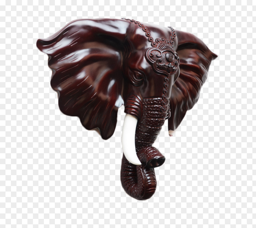 Elephant Head Resin Wall Ornaments Designer PNG