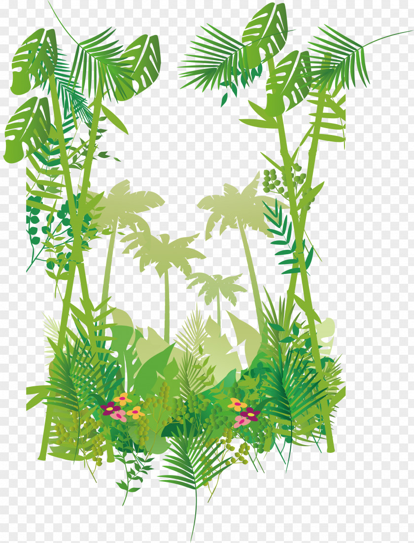 Forest Border Vector PNG