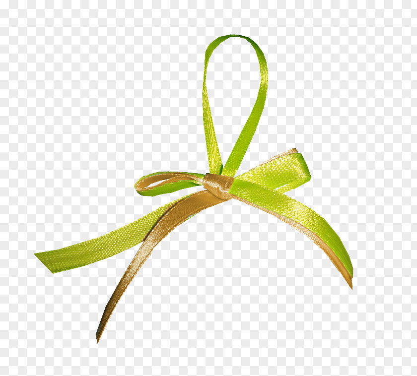 Les Pollens Leaf Plant Stem PNG