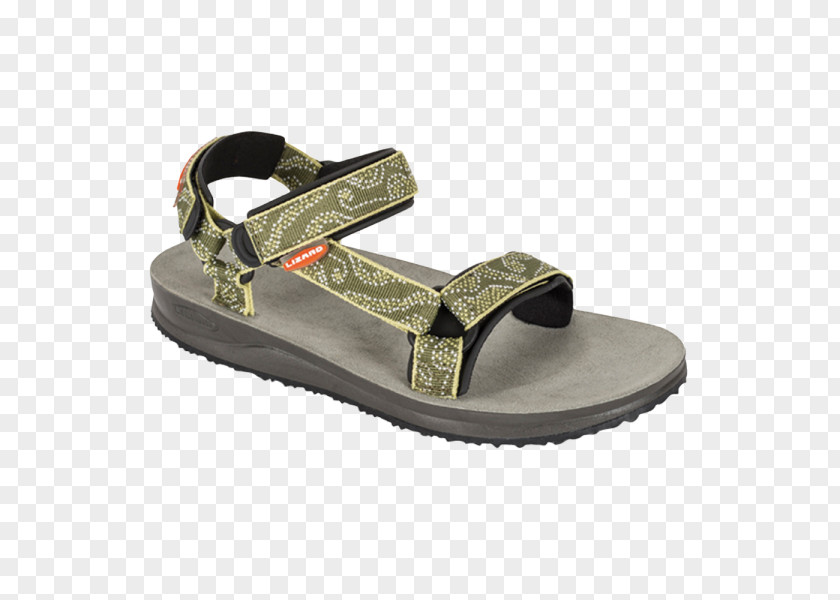 Sandal Slipper Footwear Shoe Leather PNG