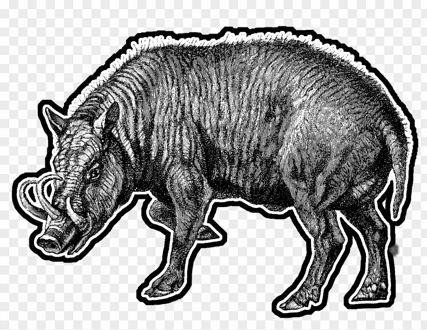 Warthog Wild Boar Mammal Horse Cattle /m/02csf PNG