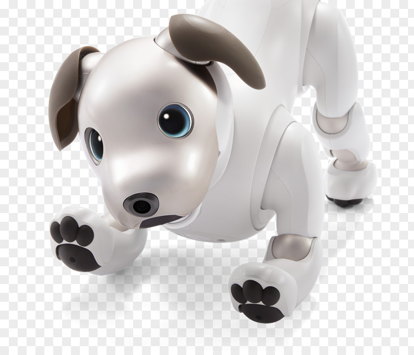 Dog AIBO Robotic Pet Technology PNG