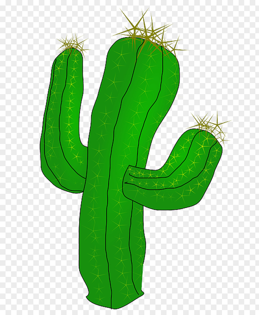 Free Images Best Clipart Cactus Succulents And Cactaceae Desert Clip Art PNG