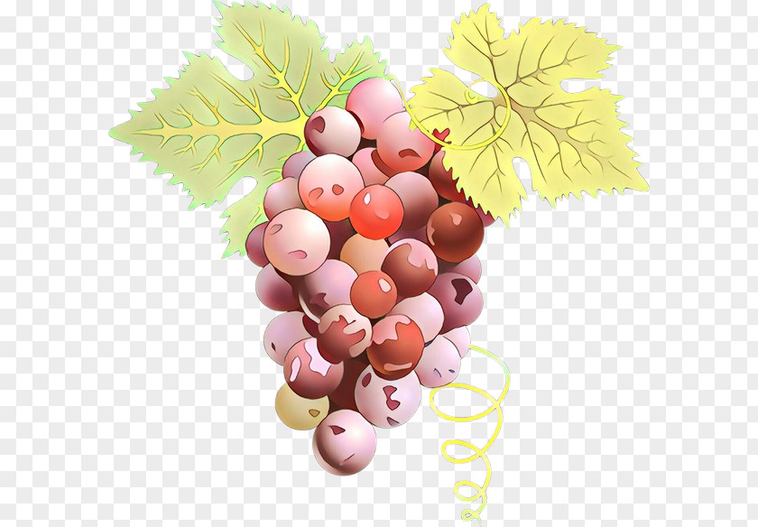 Grape Grapevine Family Fruit Food Vitis PNG