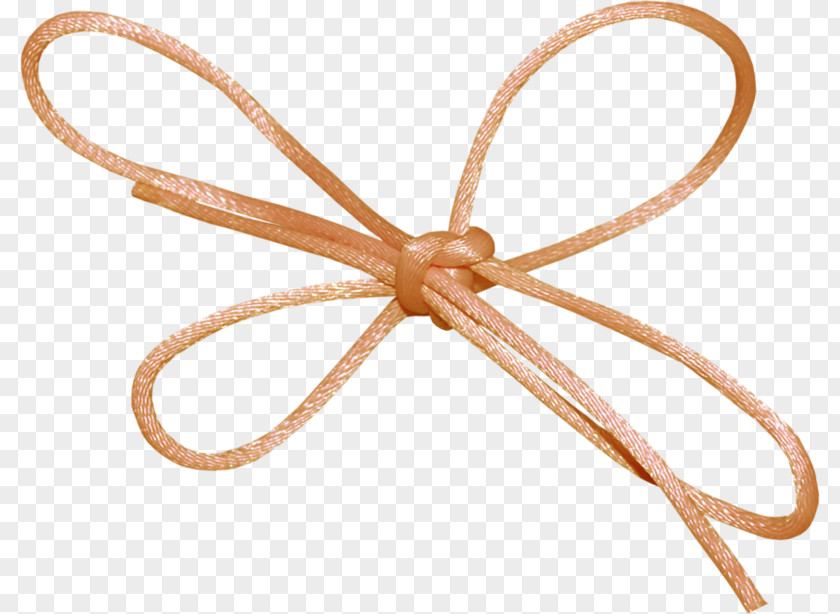 Orange Ribbon Bow PNG