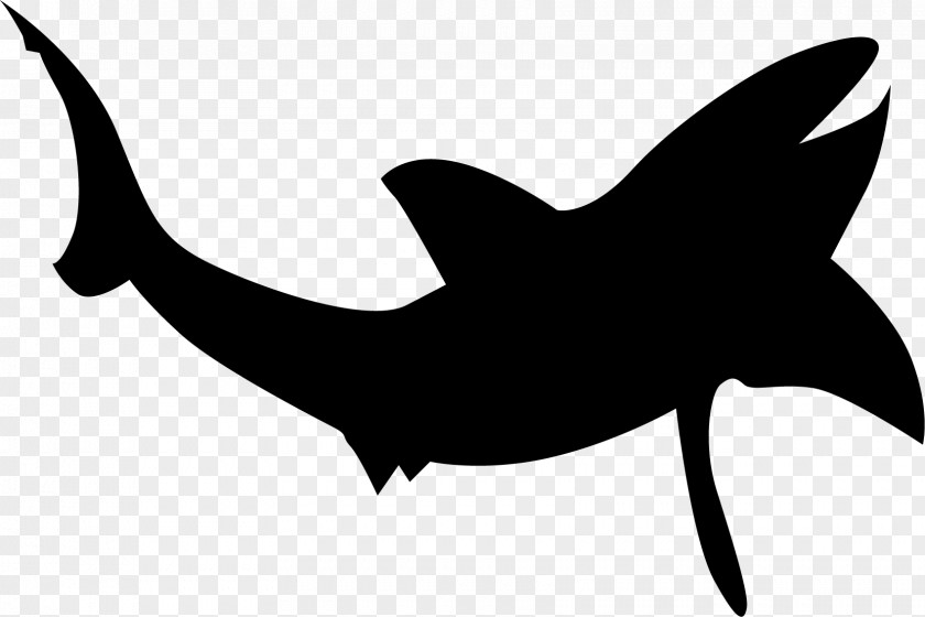 The Beluga Whale Shark Silhouette Clip Art PNG