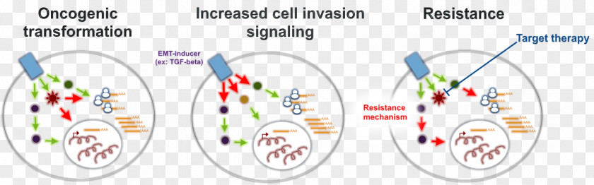 Various Cancer Cells Art Graphic Design Technology Body Jewellery PNG