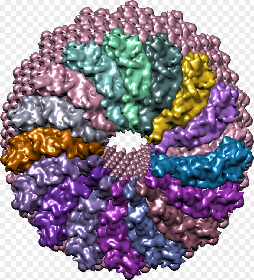 Worm Virus Bead PNG