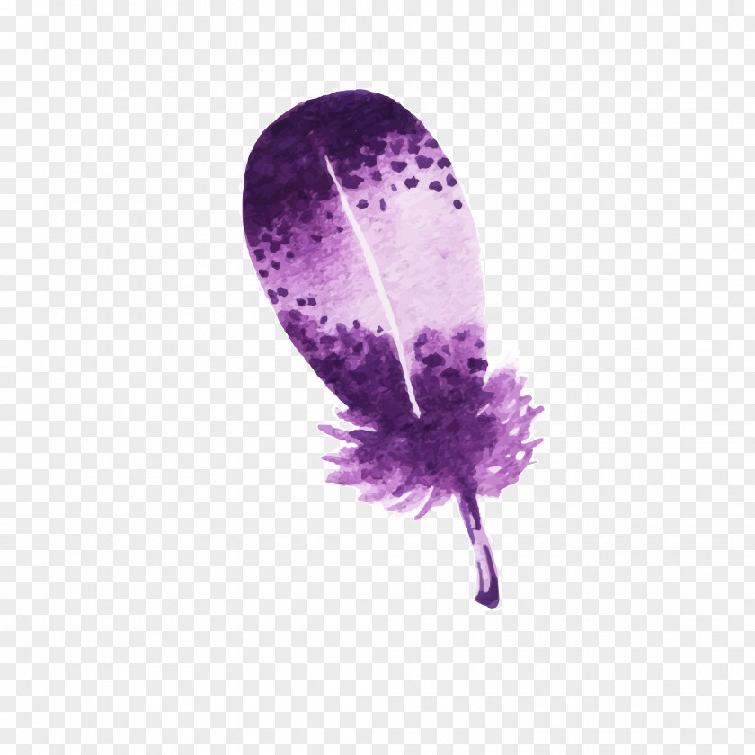 Drawing Feather Bird PNG