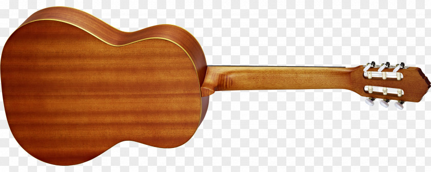 Guitar Ukulele Acoustic String Instruments Musical PNG