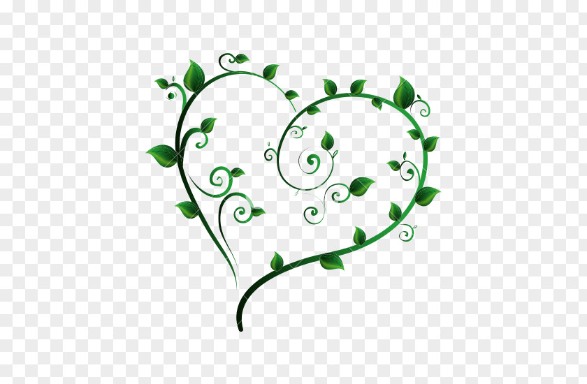 HEART FLOWER Leaf Ecology Green Plant Clip Art PNG