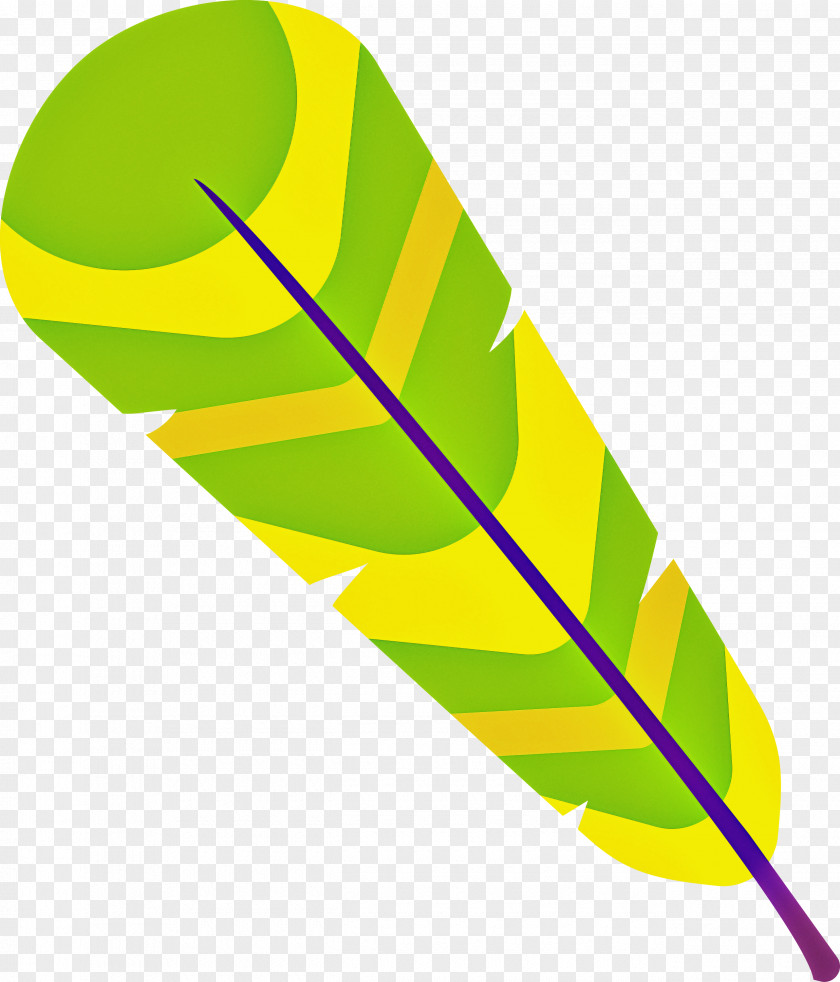 Leaf Yellow Line Plant Structure Science PNG