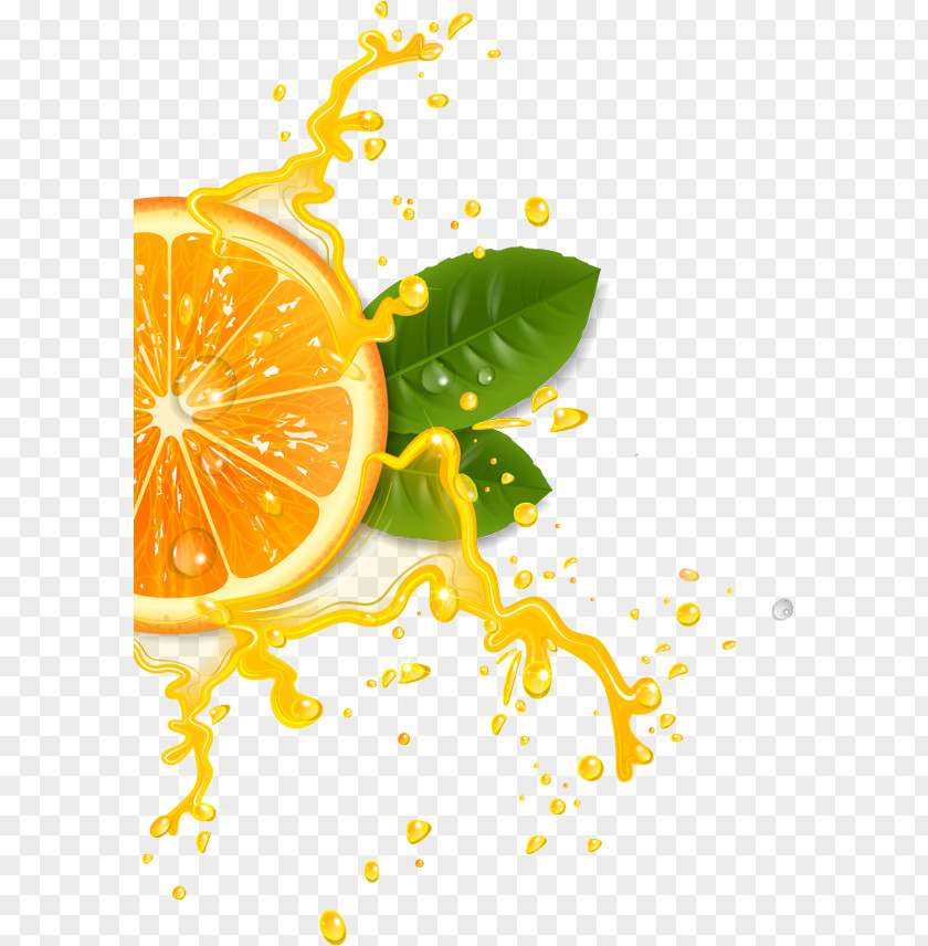 Orange Lemon Juice Cocktail Lemonade PNG