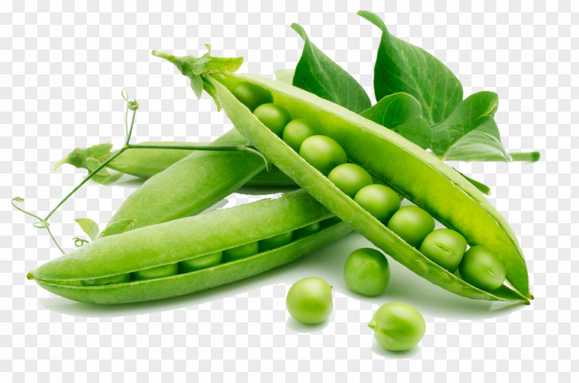 Pea Snap Vegetable Food Heirloom Plant PNG