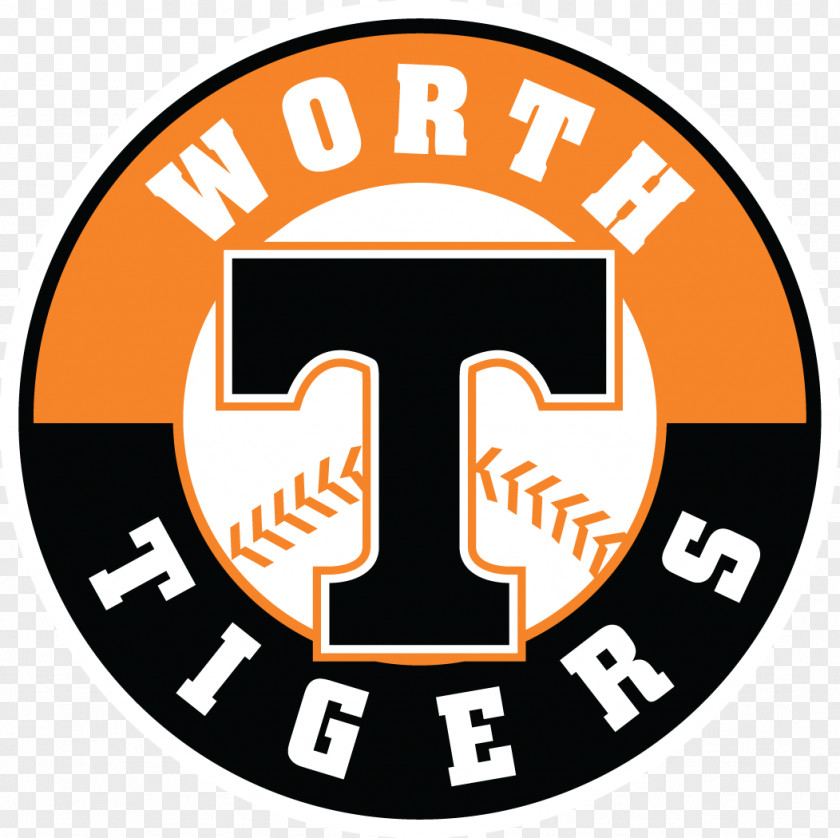 Worth Remembering Moments Detroit Tigers Rawlings MLB Baseball PNG