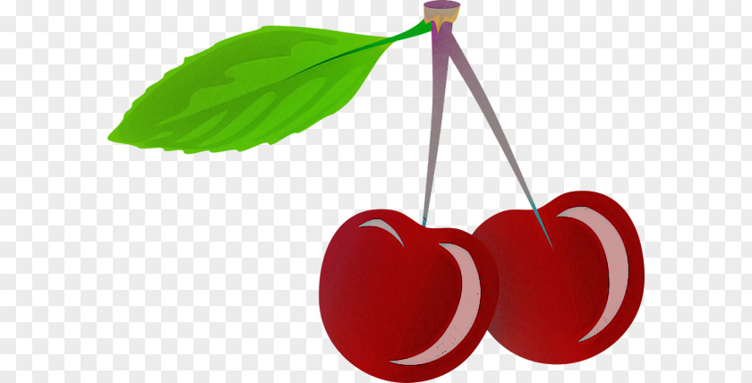 Cherry Apple Apples Fruit Plum PNG