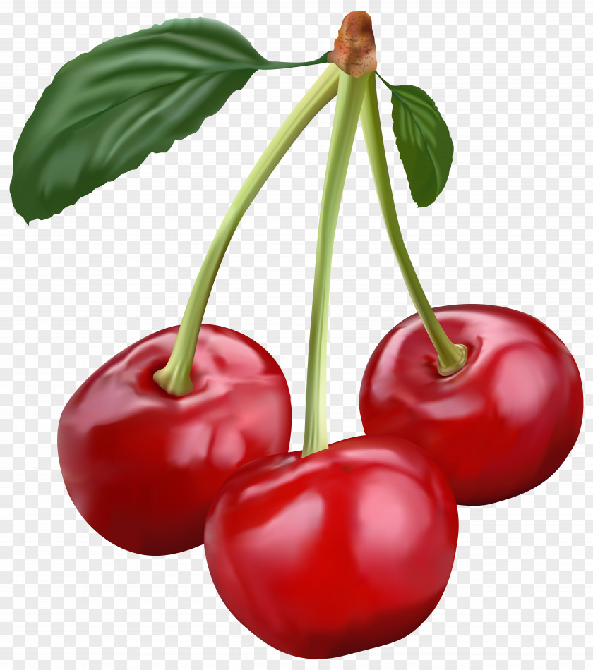 Cherry Pie Fruit Clip Art PNG