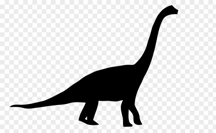Dinosaur Brachiosaurus Size Apatosaurus Brontosaurus Stegosaurus PNG