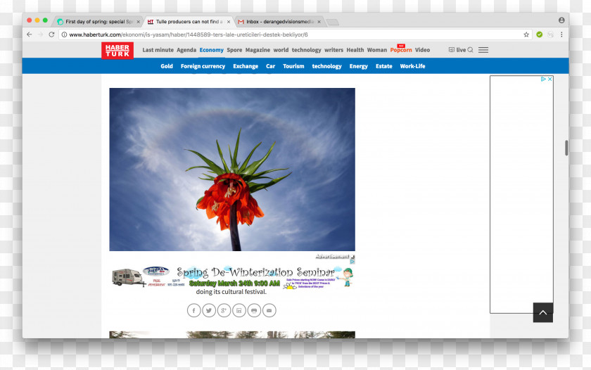 First Day Of Spring Web Page Video Multimedia PNG