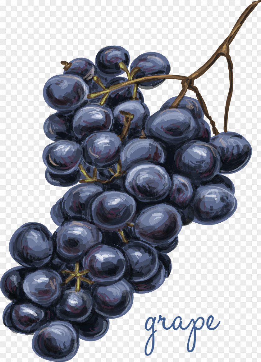 Vector Hand Painted Watercolor Grapes Juice Drawing Grapefruit PNG