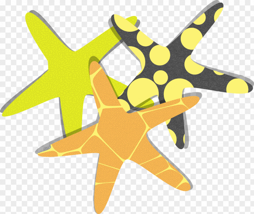 Vector Starfish Euclidean Clip Art PNG