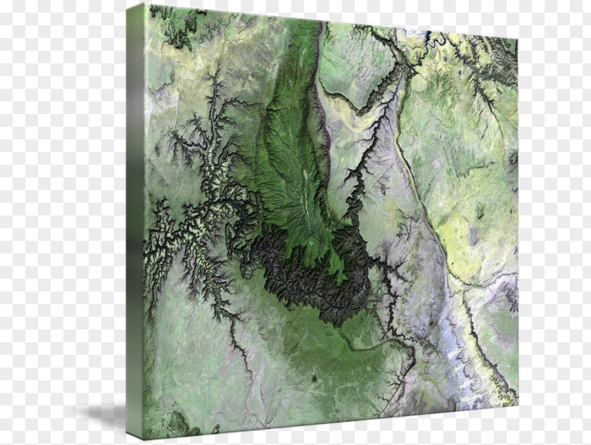 Grand Canyon National Park Village Biome Forest Gallery Wrap PNG