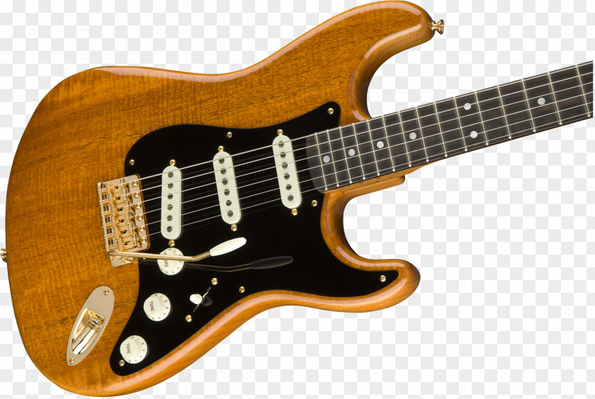Guitar Fender Stratocaster American Professional Musical Instruments Corporation Electric PNG