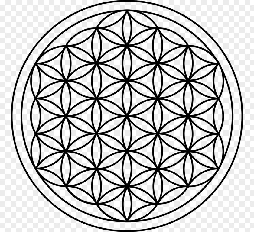 T-shirt Sacred Geometry Overlapping Circles Grid Metatron's Cube PNG