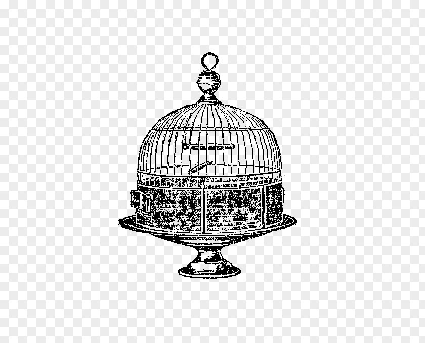 Bird Cage Birdcage Domestic Canary PNG