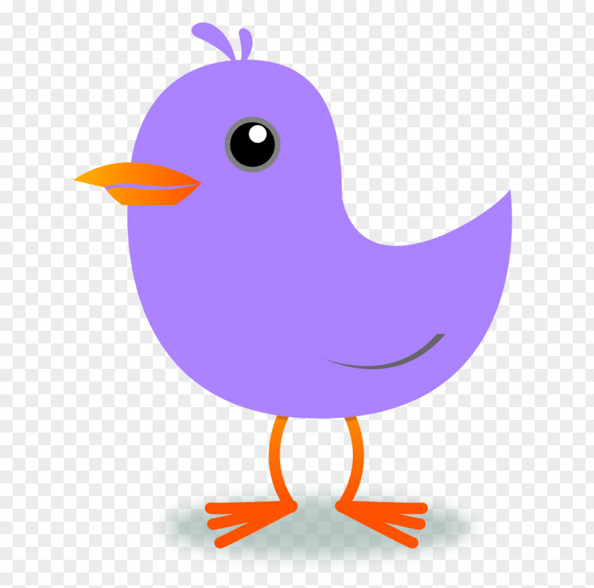 Bird Clip Art PNG