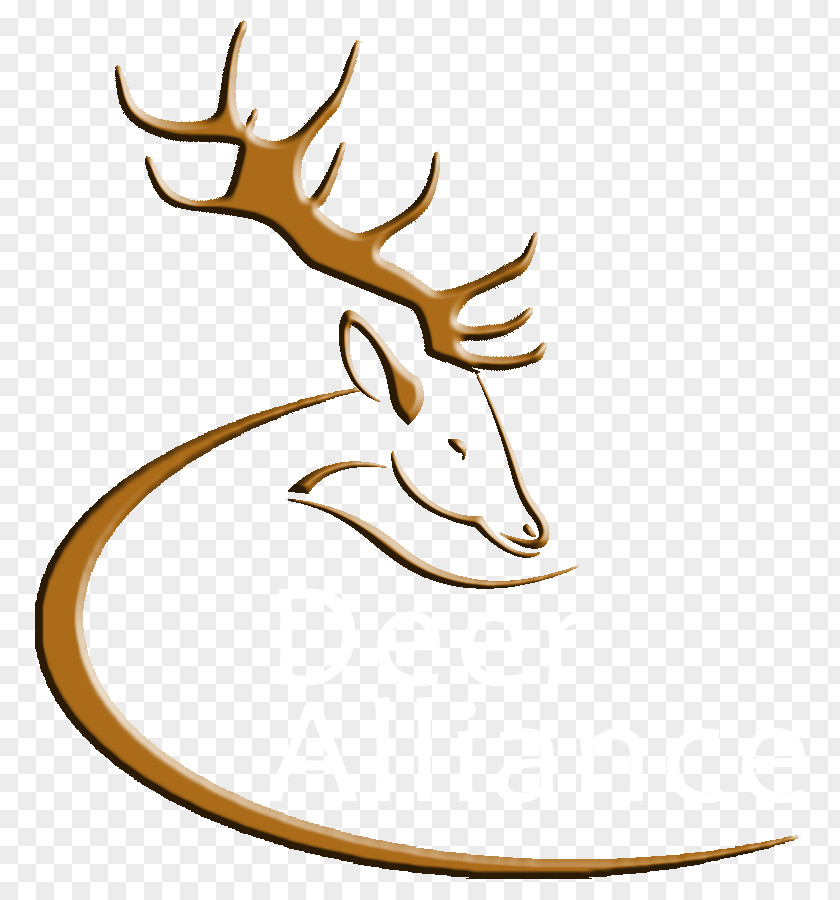 Deer Horn Antler Wildlife Elk Clip Art PNG