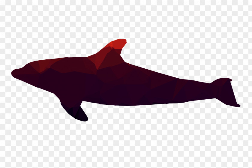 Dolphin RED.M PNG