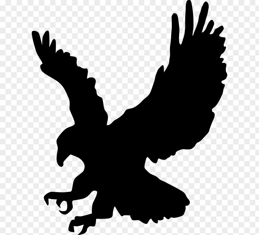 Silhouette Bald Eagle PNG