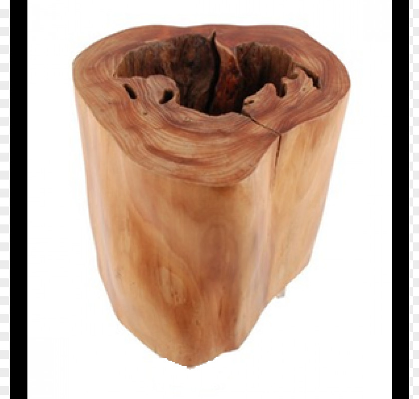 Stamens Table Trunk Wood Tree Root PNG