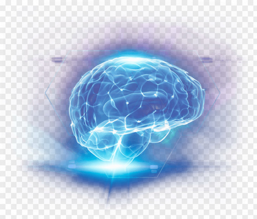 Brain Water Huntington's Disease Parkinson's Neurology PNG