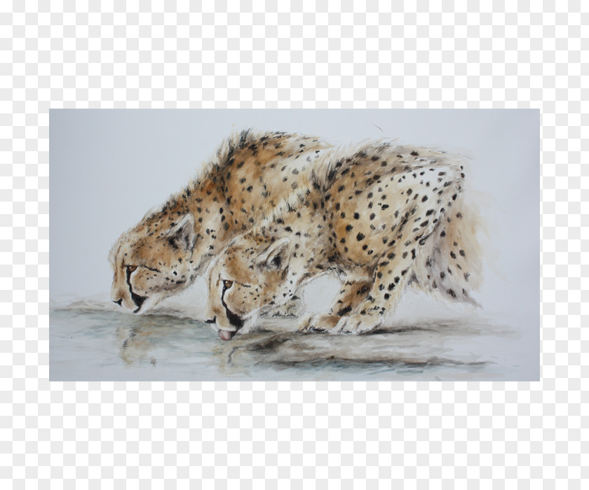 Cheetah Leopard Jaguar Hare Lion PNG