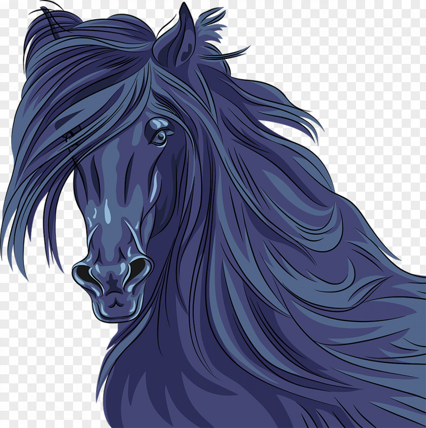 Horse Stallion Portrait PNG