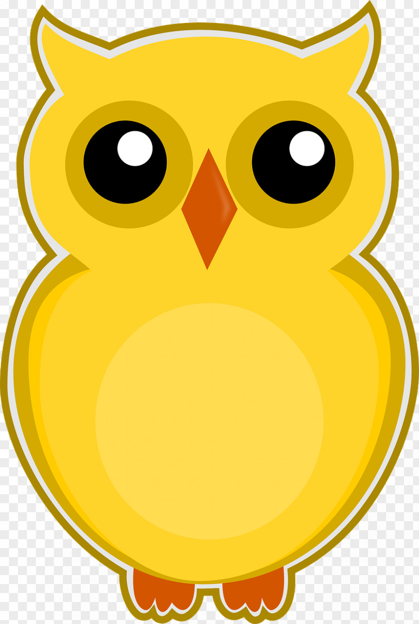 Owl Drawing Color Clip Art PNG