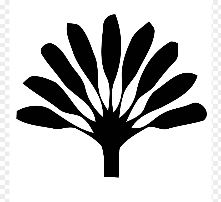 Palm Tree Logo Images Singaporean Presidential Election, 2011 General 2017 PNG