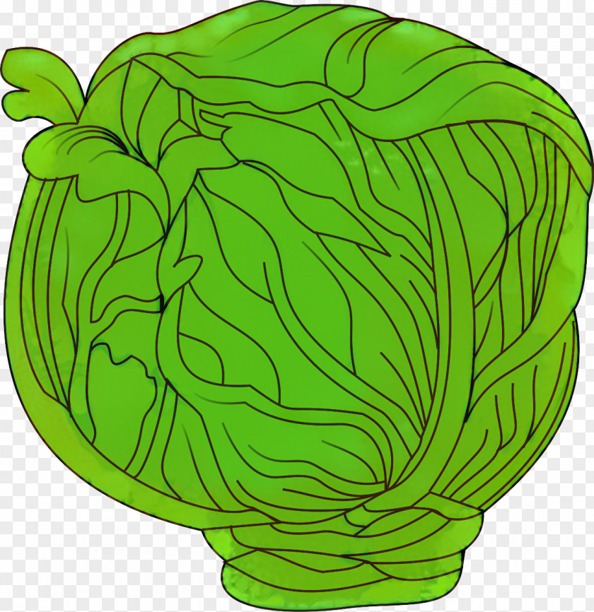 Romaine Lettuce Brassica Green Leaf Background PNG