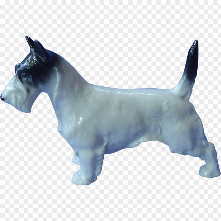 Scottish Terrier Cairn Wire Hair Fox American Staffordshire Bull PNG
